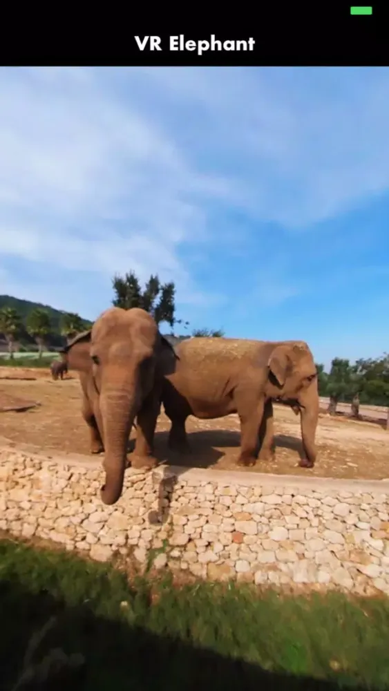 Capturas de tela do 360 VR Elephant - Nature VR Apps for Kids