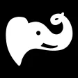 Elephants - Friends & Goals