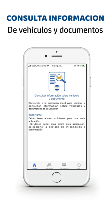 Zrzuty ekranu Consulta Información vehículo