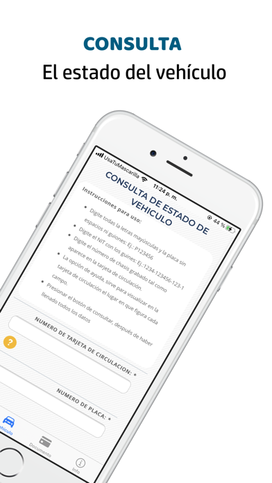 Zrzuty ekranu Consulta Información vehículo