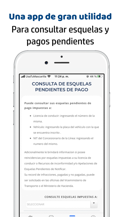 Zrzuty ekranu Consulta Información vehículo