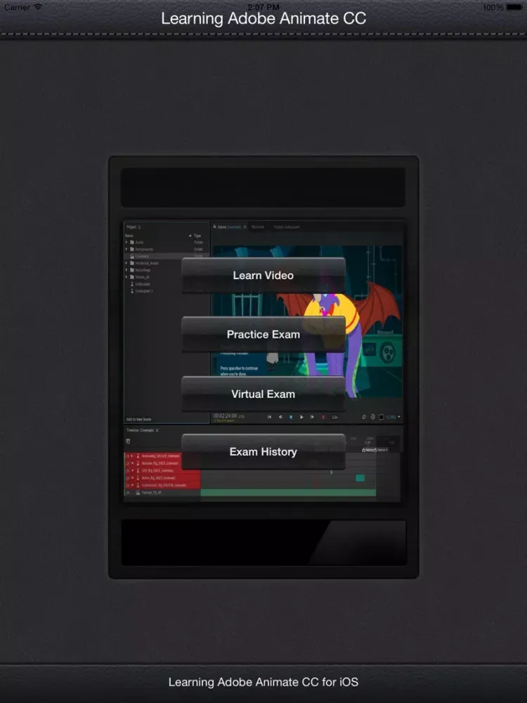 Screenshot di LearnFor AnimateCC iPad 