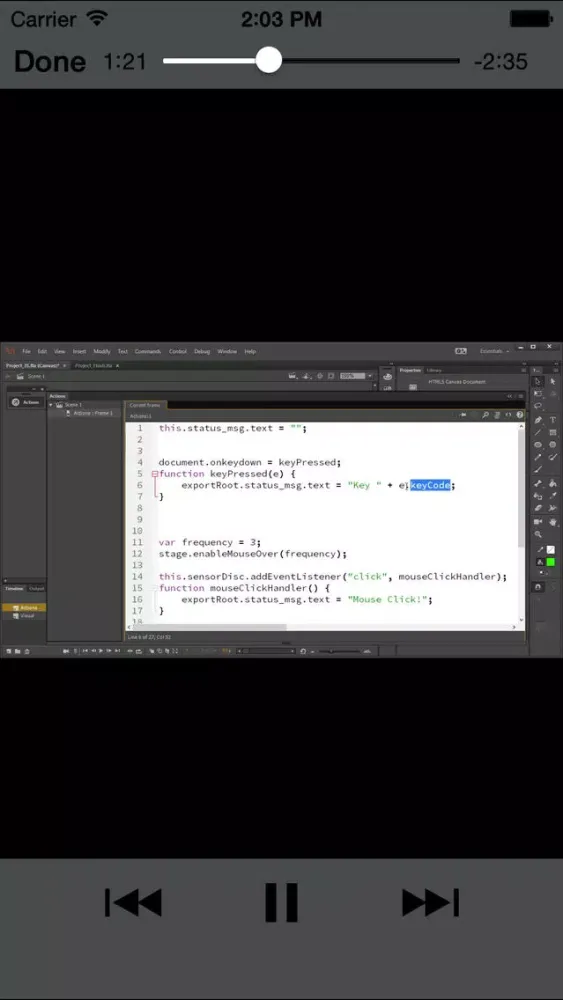 Screenshot di LearnFor AnimateCC