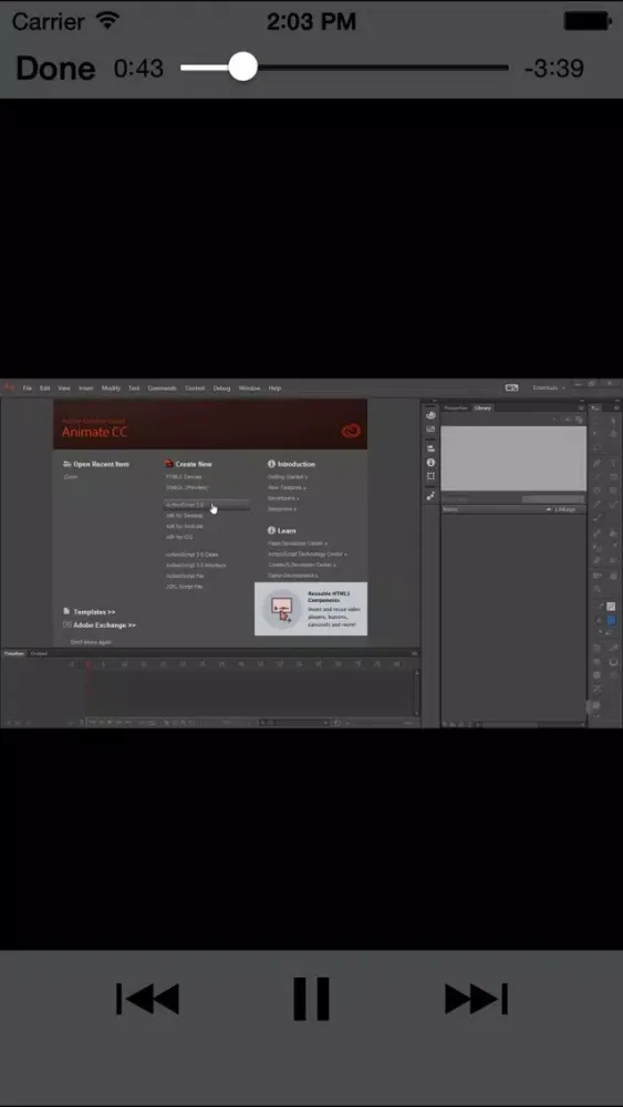 Screenshot di LearnFor AnimateCC