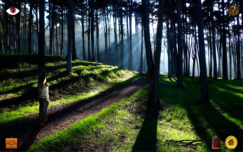Zrzuty ekranu Lost in Paradise