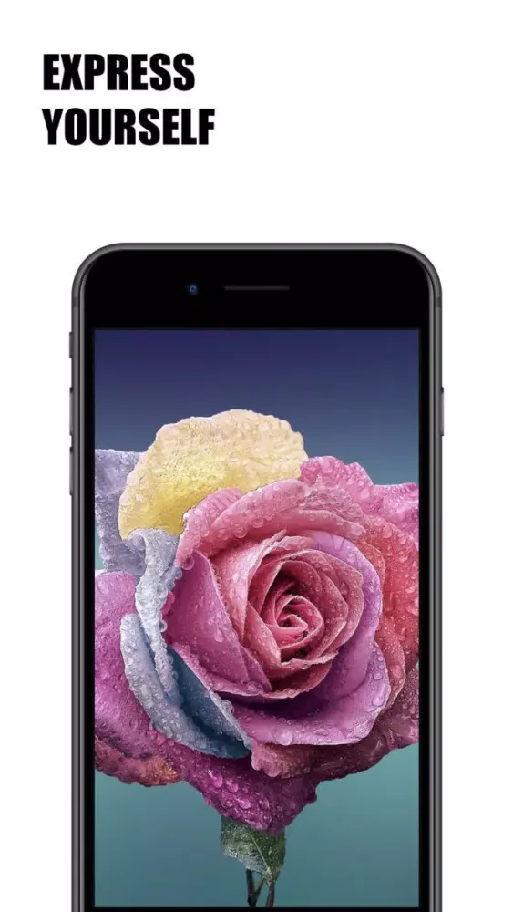 Captures d'écran de Live Wallpapers.io