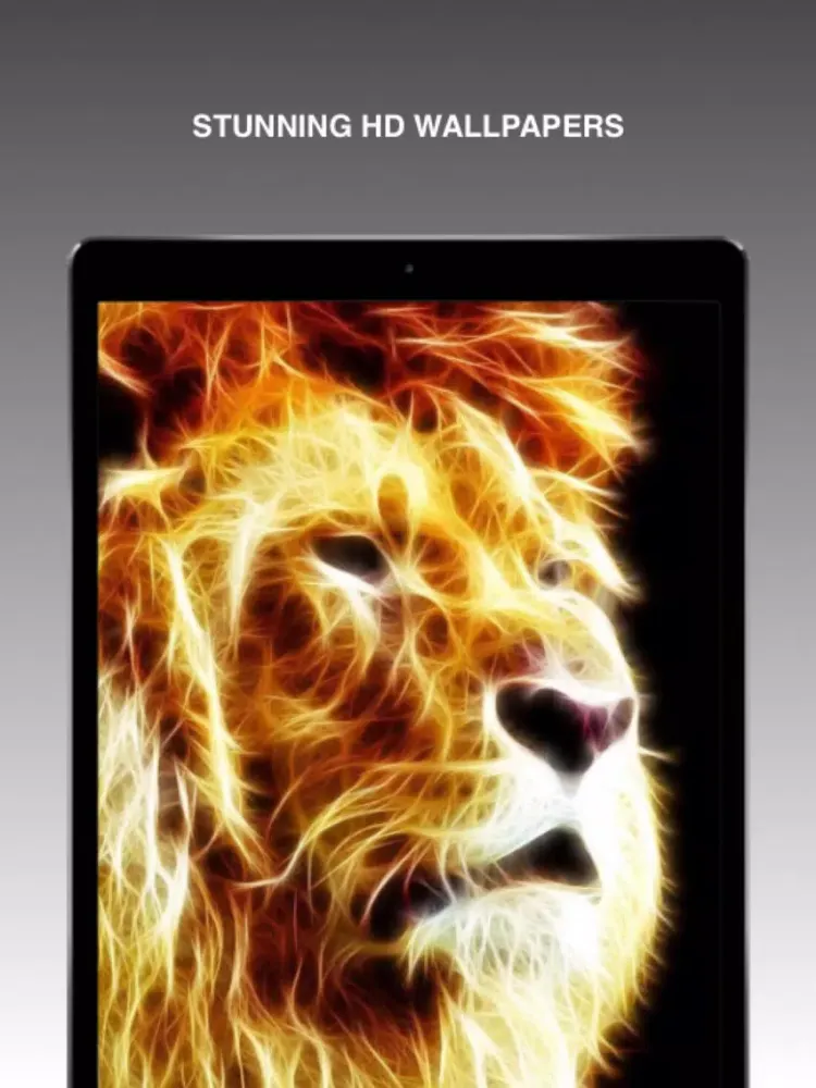 Neon Animal Wallpapers iPad 应用截图