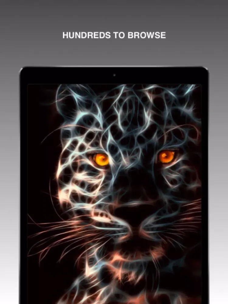 Neon Animal Wallpapers iPad 应用截图