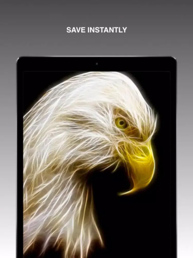 Neon Animal Wallpapers iPad 应用截图
