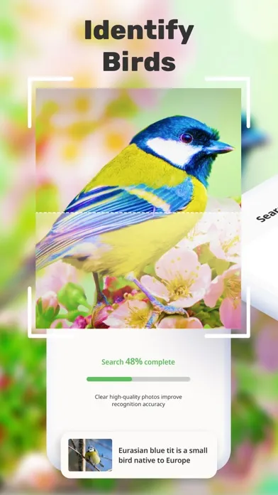Bird Call Identification应用截图