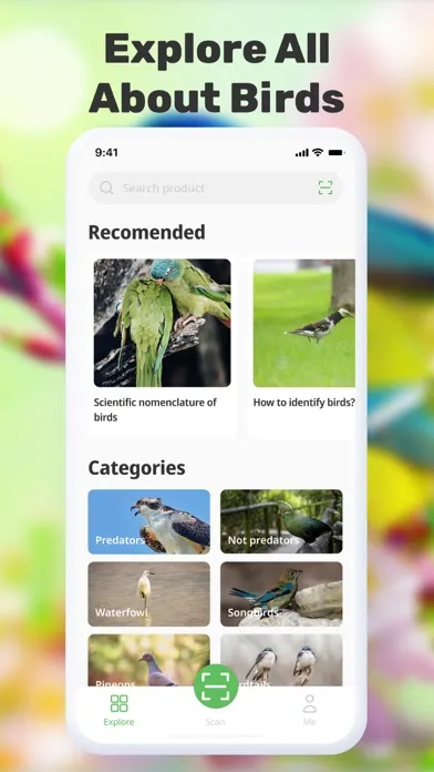 Bird Call Identification应用截图