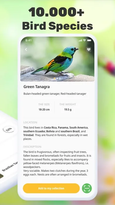 Bird Call Identification应用截图