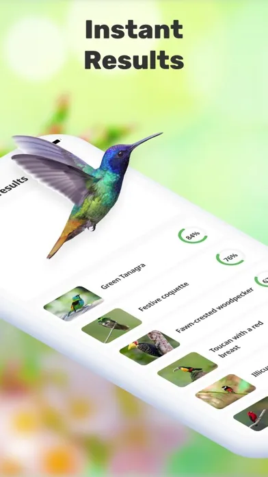 Bird Call Identification应用截图
