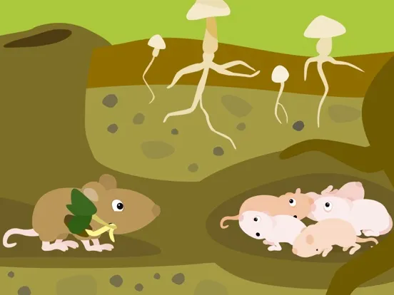 تصاویر BioMio - My First Biology App iPad 