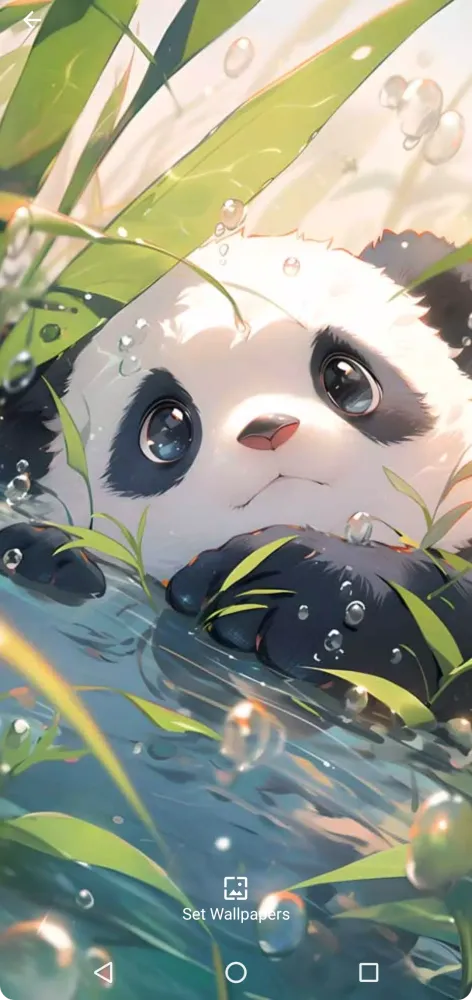 Cute Sweet Panda Wallpaper স্ক্রিনশট