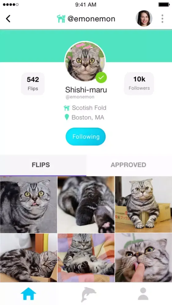 Flippet應用截圖