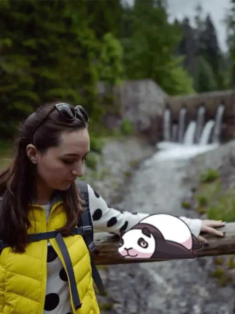 Capturas de pantalla de Panda in Your Photo panda stickers iPad 