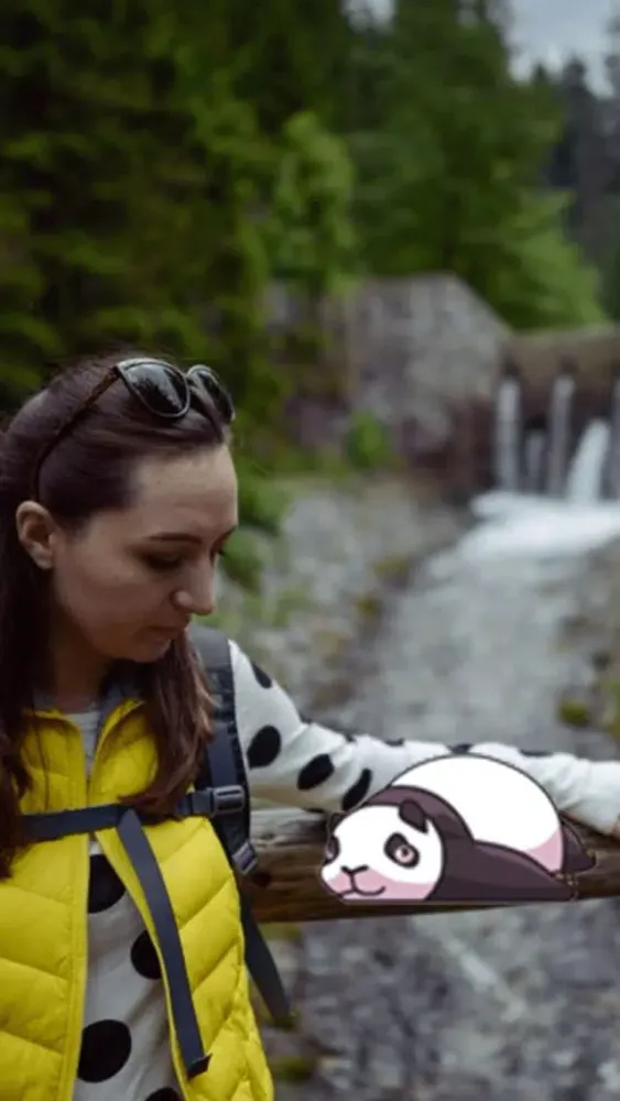 Capturas de pantalla de Panda in Your Photo panda stickers