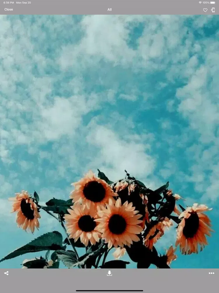 Aesthetic Wallpapers HD! iPad  Screenshots