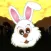 Super Bunny Adventure Run