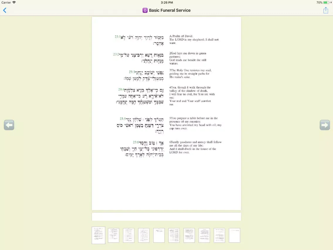 Rabbi's Manual iPad  স্ক্রিনশট