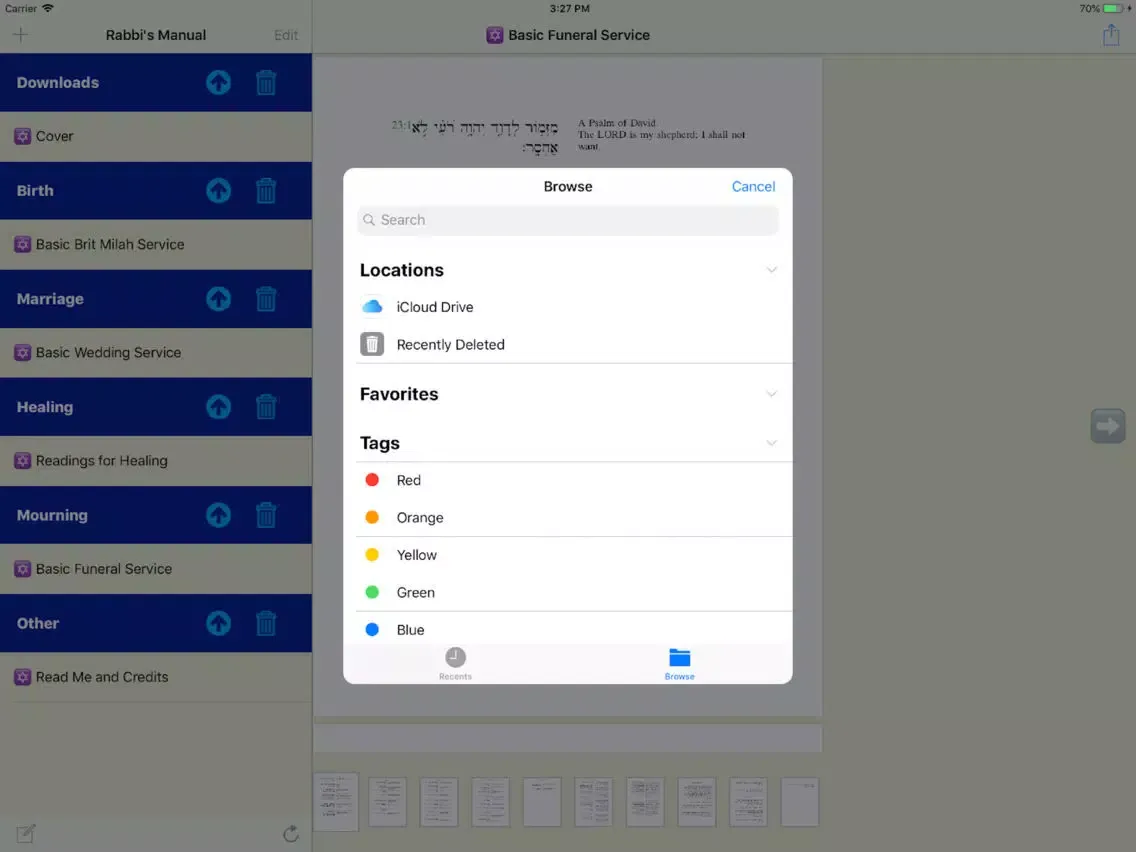 Rabbi's Manual iPad  স্ক্রিনশট
