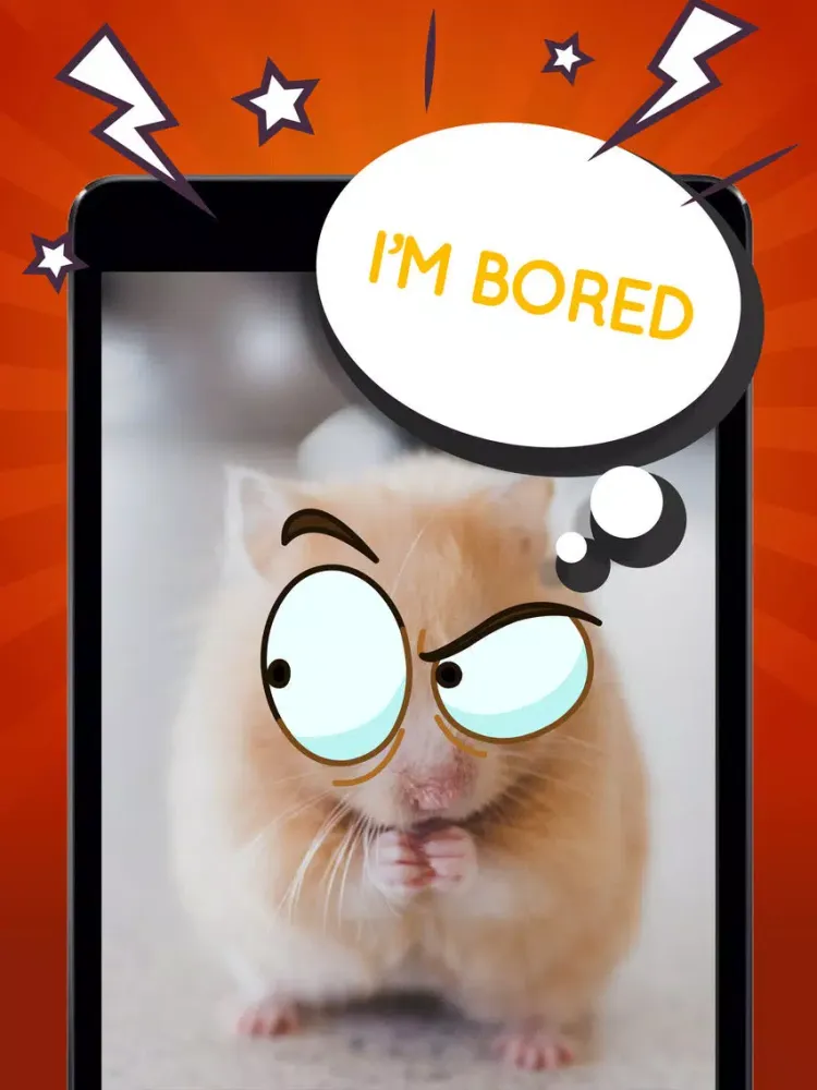 Angry Face Maker Comic Sticker App iPad 應用截圖