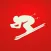 Ski Stickers