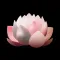 Focus Meditation