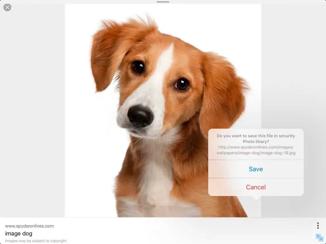 Capturas de tela do Security Folder iPad 