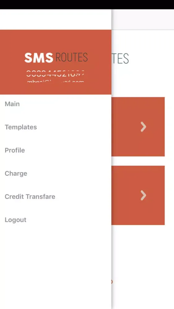 Скриншоты SMS Routes