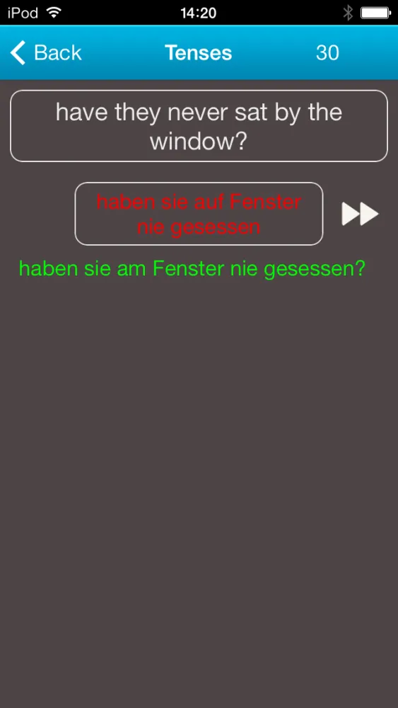 German Grammar: Practice应用截图