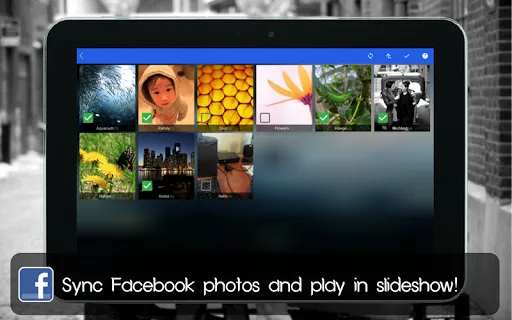 Social Frame PRO Screenshots