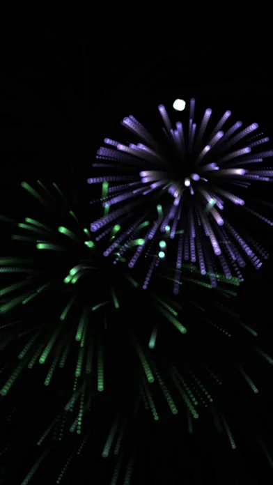 Скриншоты Fireworks 2021