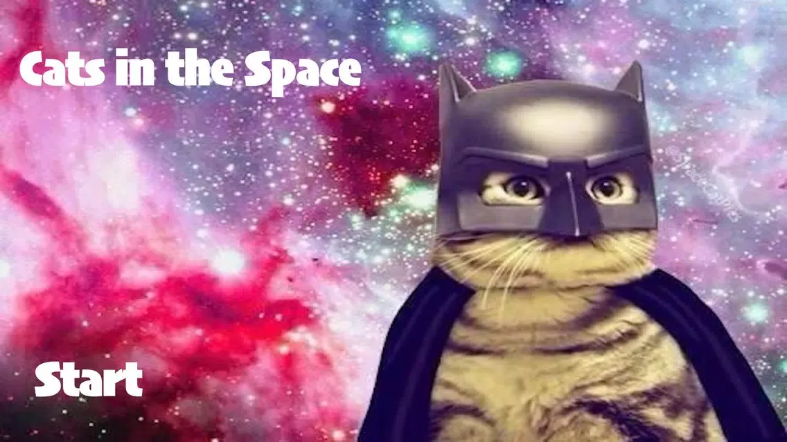 Tangkapan layar Cats in the Space