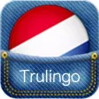 Dutch Translator