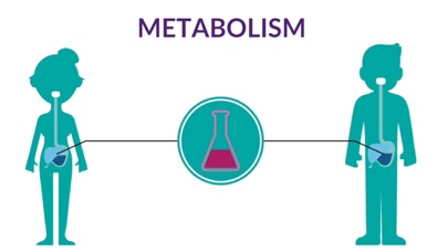 Inherited Metabolic Disorders Screenshots