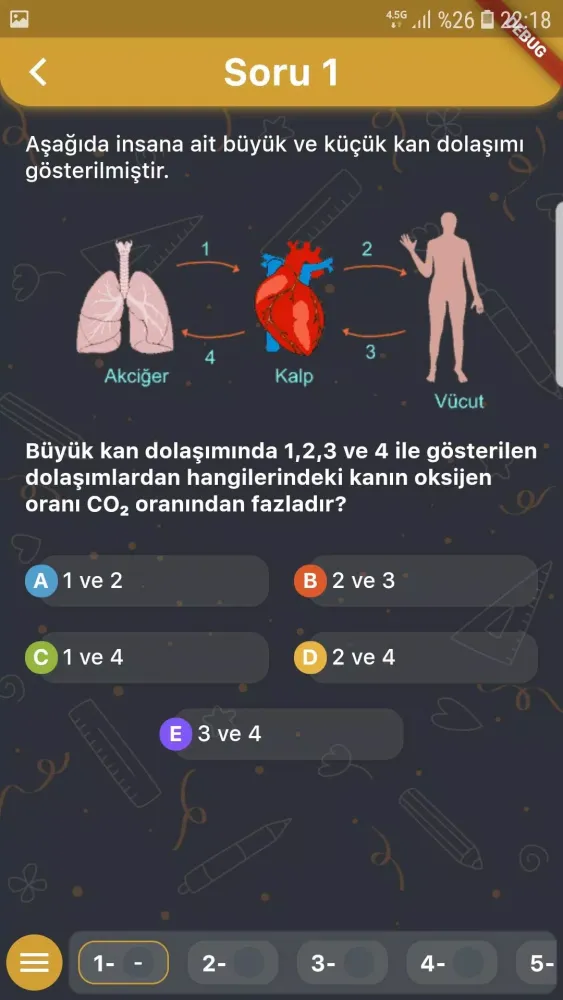 Eğitim Platformu Screenshots