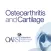 Osteoarthritis and Cartilage
