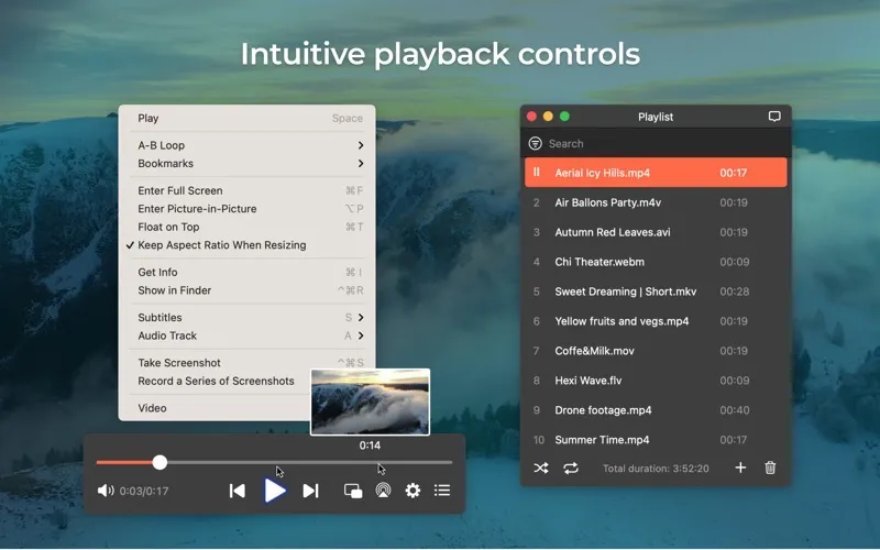 Elmedia Video Player سکرین شاٹس