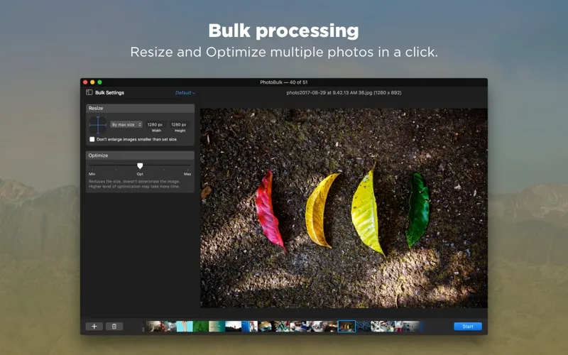 PhotoBulk: watermark in batch স্ক্রিনশট