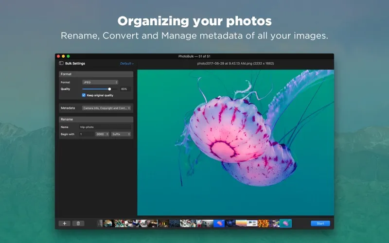 PhotoBulk: watermark in batch স্ক্রিনশট
