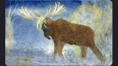 صور Animal Totems Empowerment Deck