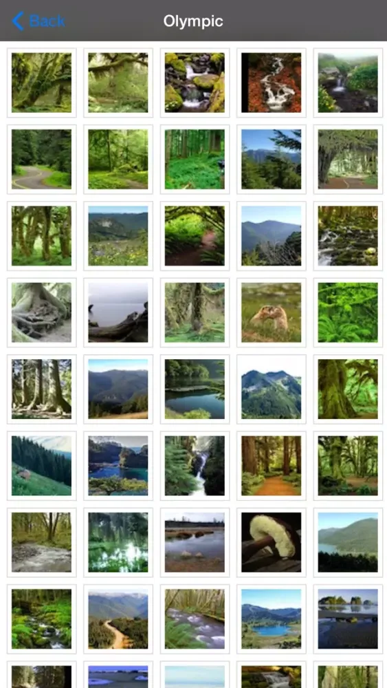 Olympic National Park Tourism スクリーンショット