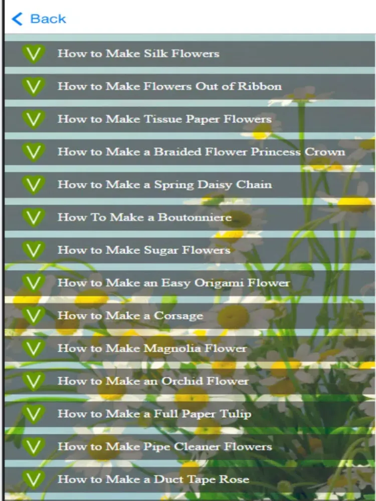 Flower Craft Ideas - Learn How to Make Easy Flowers Craft iPad Screenshots