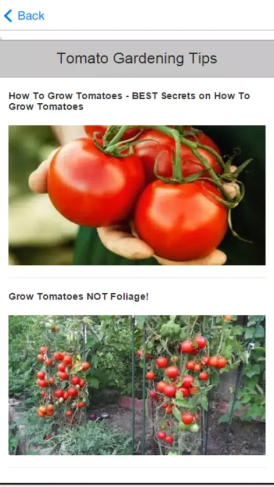 Gardening for Beginners - Simple Gardening Tips and Tricks Screenshots