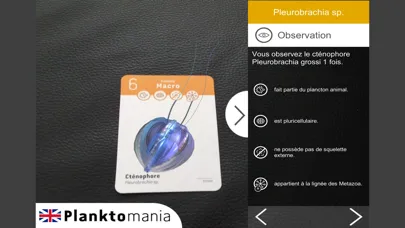 صور PlanktoMania-AR