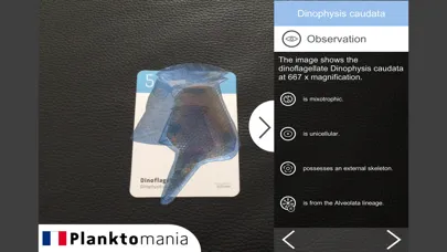 صور PlanktoMania-AR