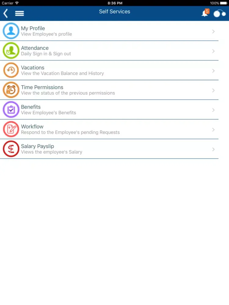 Скриншоты mConnect iPad 