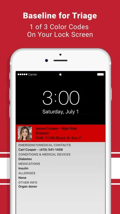 ICE Medical Standard Screenshots